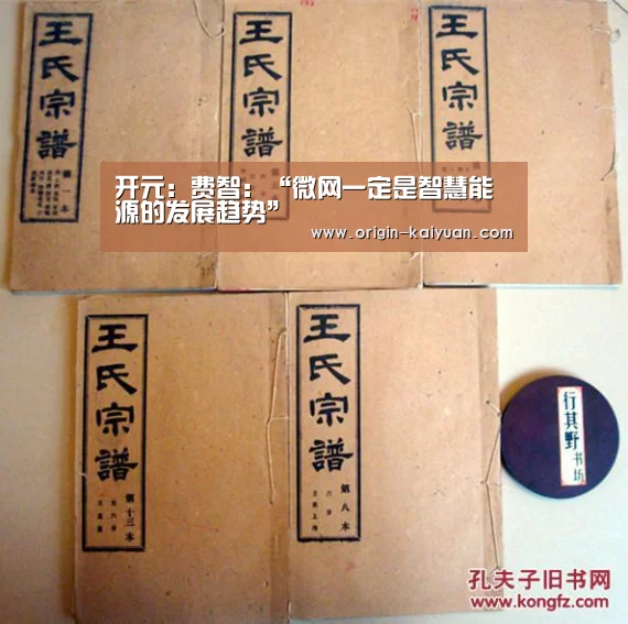 开元:费智:“微网一定是智慧能源的发展趋势”(图1) 开元棋牌